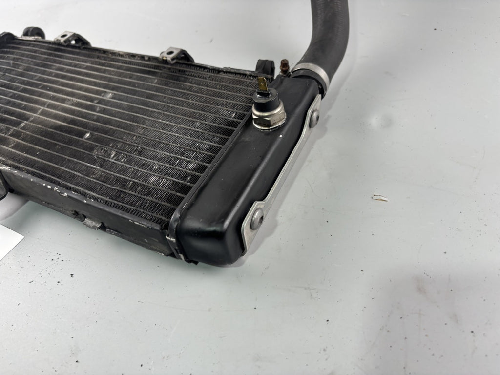 Honda CB 600 F Hornet PC34 Wasserkühler Watercooler Liquid Kühlung Engine