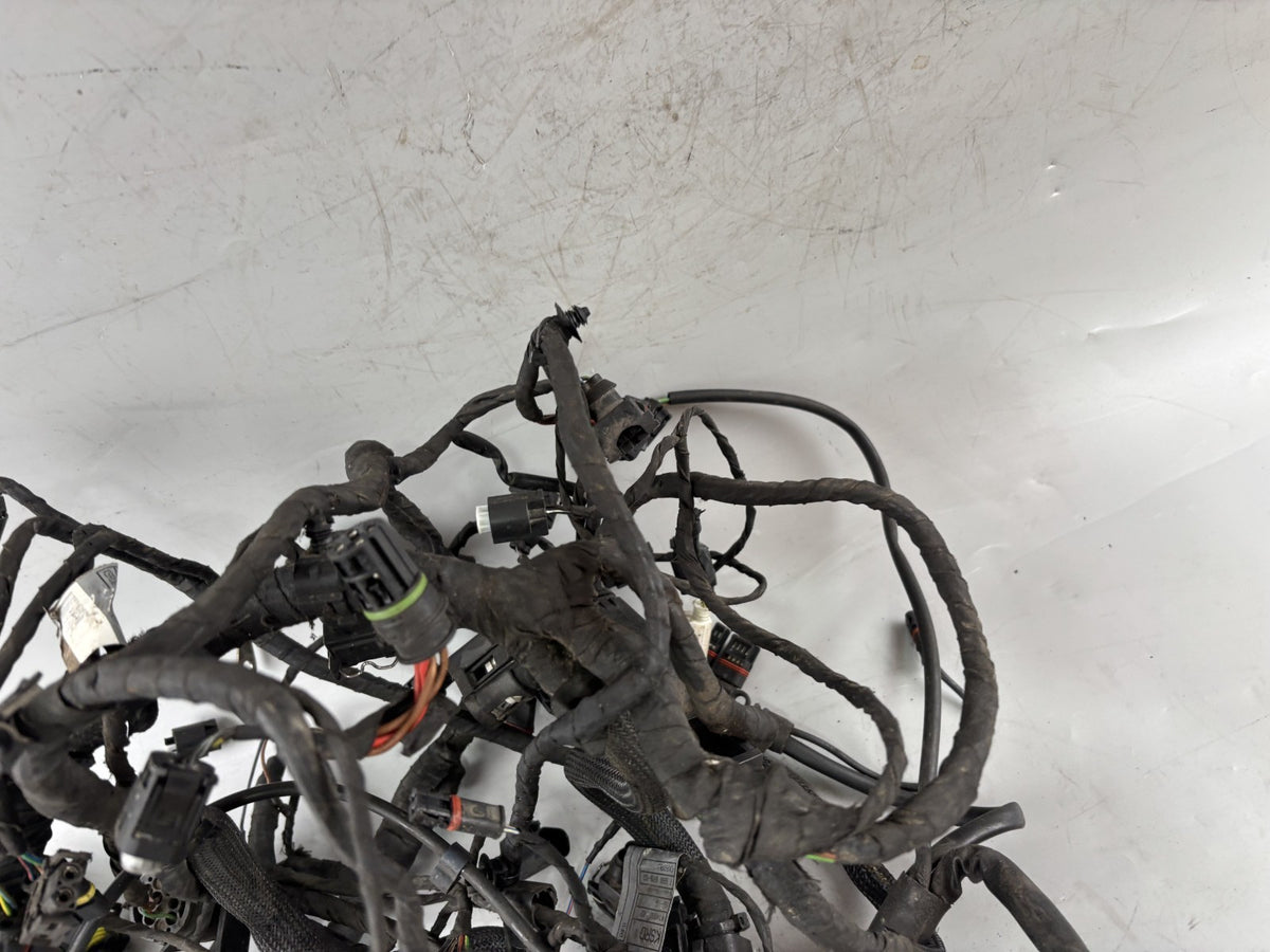 BMW F800 S Kabelbaum Kabelstrang Cable Stecker Electric