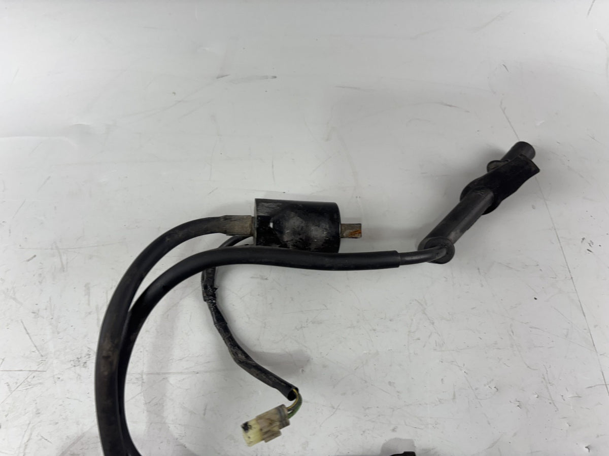 Honda VTR1000 F SC36 Firestorm Zündspulen Zündstecker Zündkabel ignition