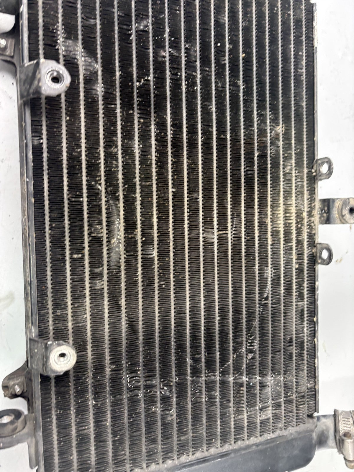 Honda CBR 1000F SC24 Wasserkühler Watercooler Liquid Motor Engine