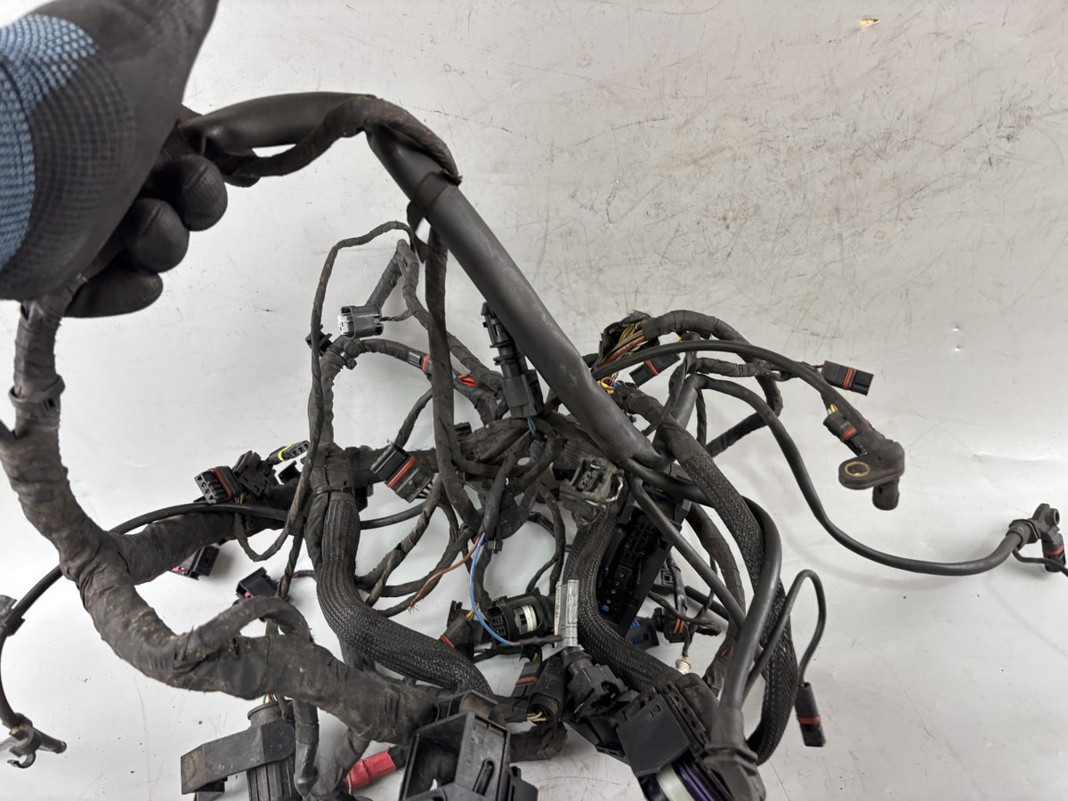 BMW F800 S Kabelbaum Kabelstrang Cable Stecker Electric
