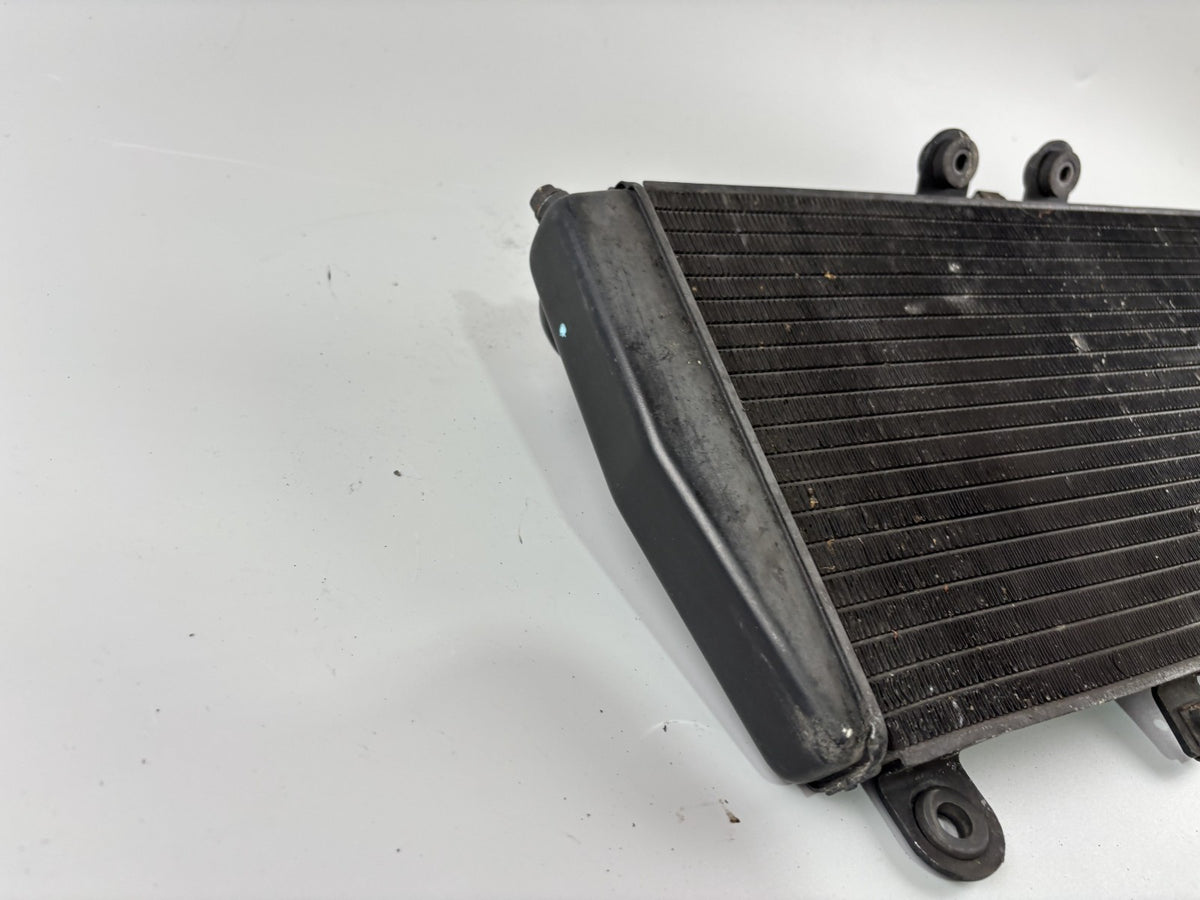 Triumph Daytona 955i T595 N 2002 Wasserkühler Watercooler Liquid Kühlung