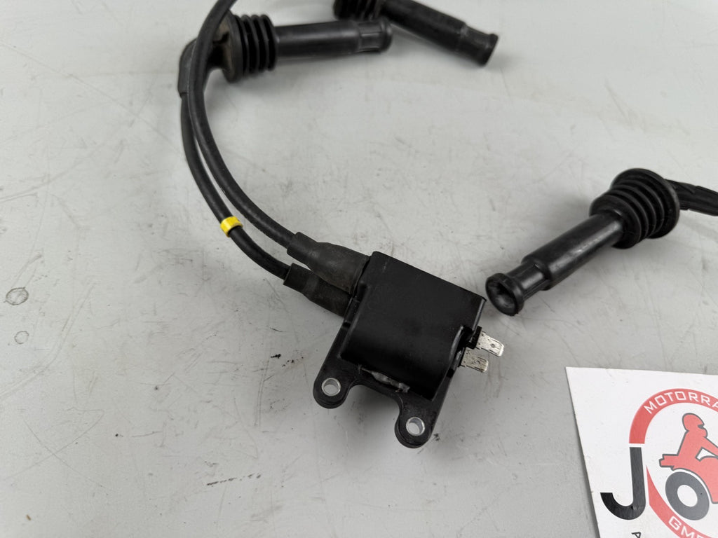 Triumph Daytona 1200 T300D Zündspulen Zündspuleneinheit Zündkabel Ignition