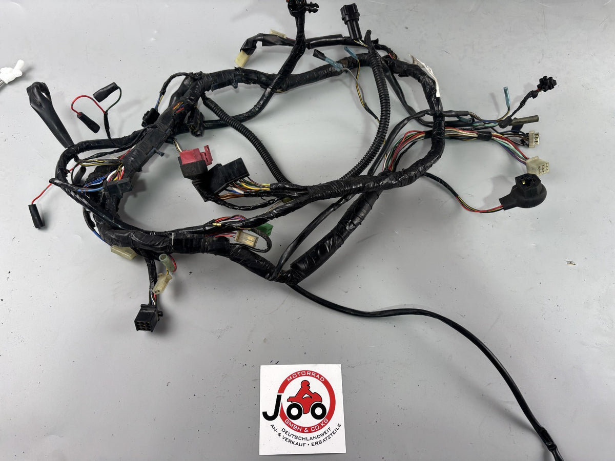 Kawasaki ZRX1100 ZRT10C Kabelbaum Kabelstrang Cable Stecker Electric