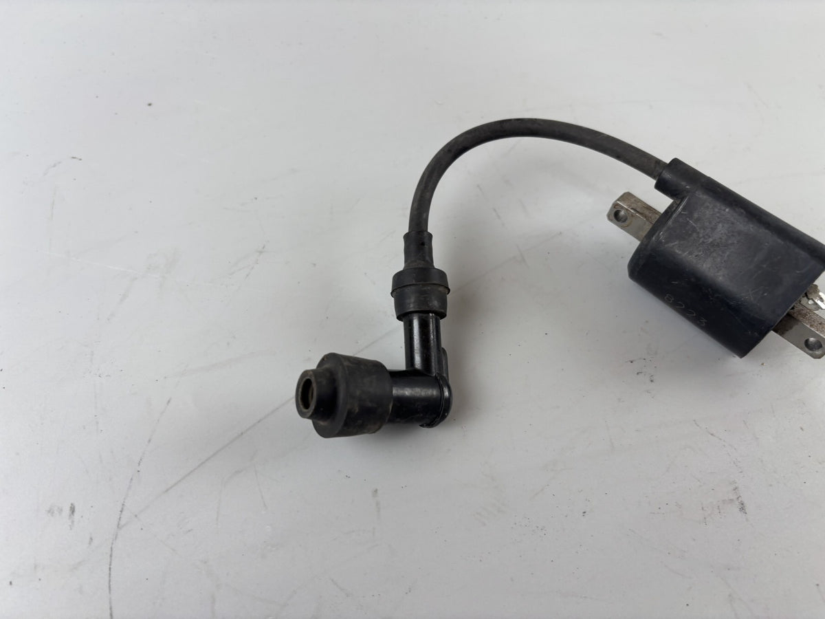 Yamaha Majesty 250 Zündspule Zündstecker Zündung Ignition