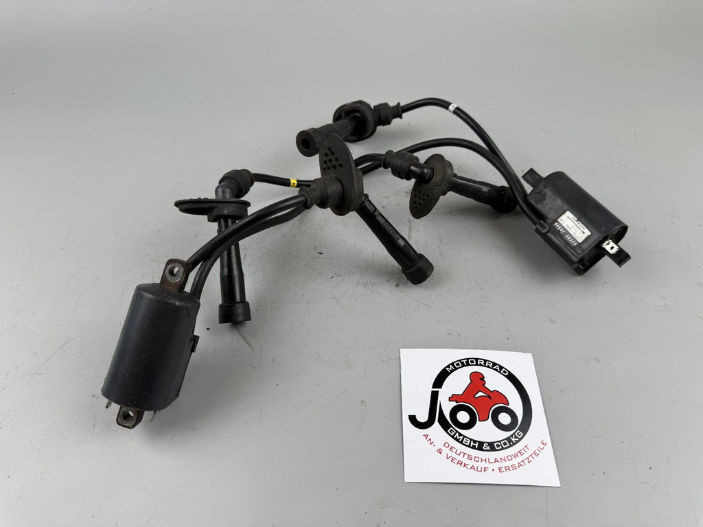 Suzuki GSX750 AE Inazuma Zündspulen zündstecker Ignition Zündkabel Motor