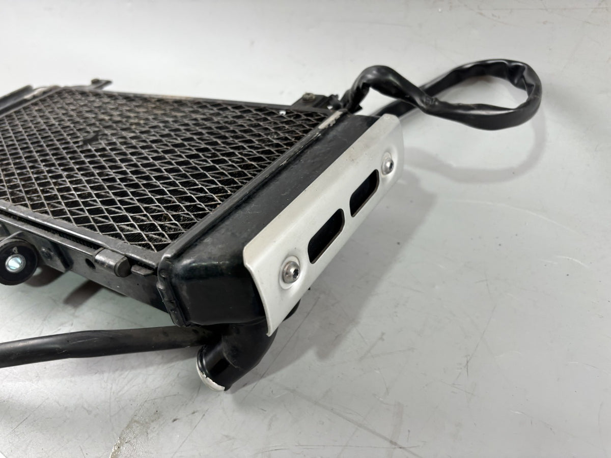 Yamaha FZS600 Fazer RJ02 Wasserkühler Cooler Watercooler Liquid