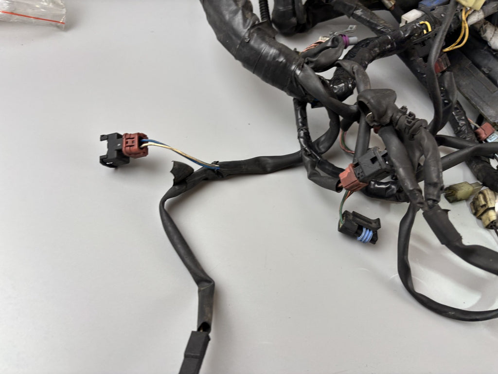 Triumph Daytona 955 T 595 Kabelbaum Cable Stecker Electric