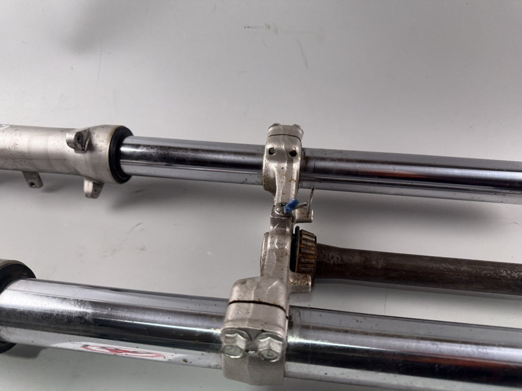 Suzuki GSF600 GN77B Bandit Gabel Standrohr Tauchrohr Fork Absorber Federung Shok