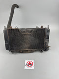 Yamaha FZR 1000 3LE Wasserkühler Kühler Radiator