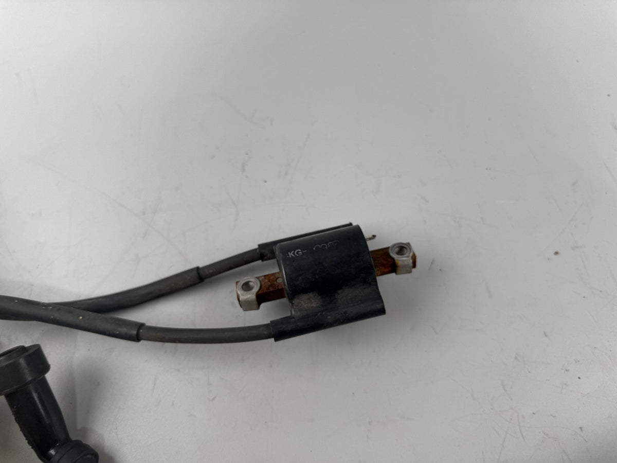 Yamaha XJR1300 RP02 Zündspulen Zündung Ignition Zündstecker Zündkabel