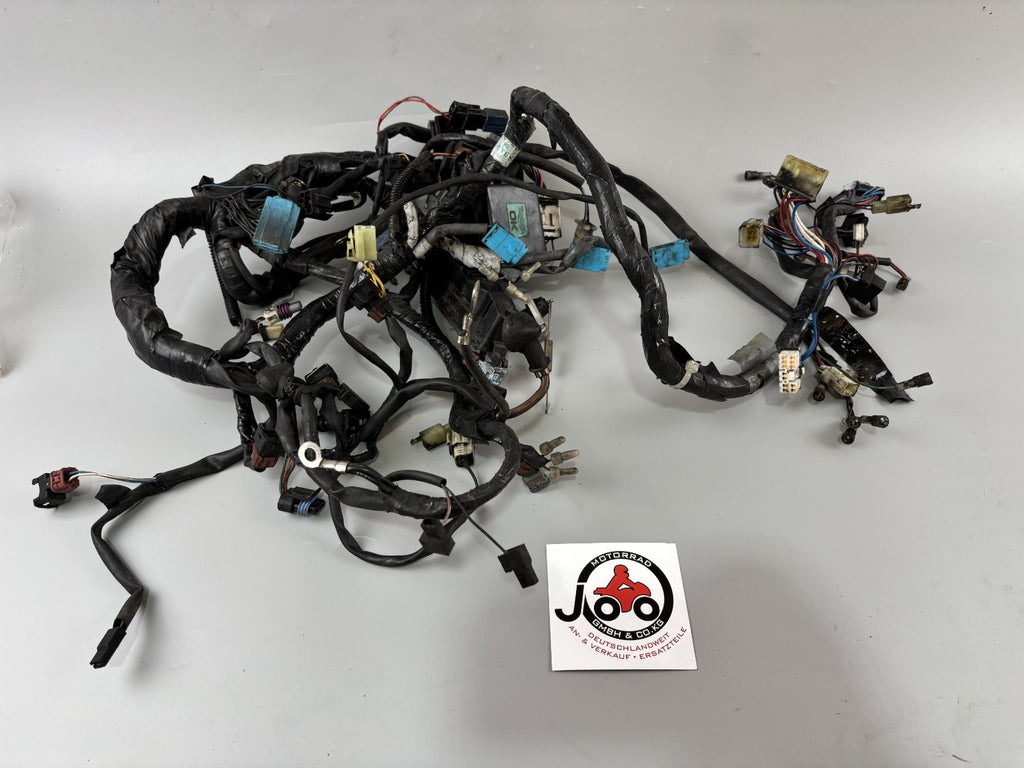 Triumph Daytona 955 T 595 Kabelbaum Cable Stecker Electric