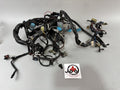 Triumph Daytona 955 T 595 Kabelbaum Cable Stecker Electric