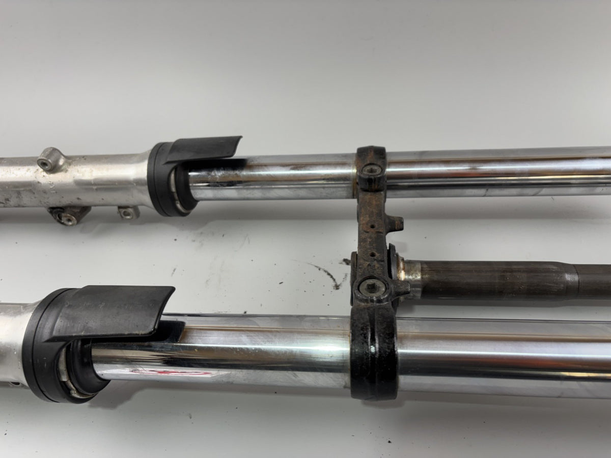 Yamaha FZS600 Fazer RJ02 Gabel Standrohr Tauchrohr Fork Absorber front vorne