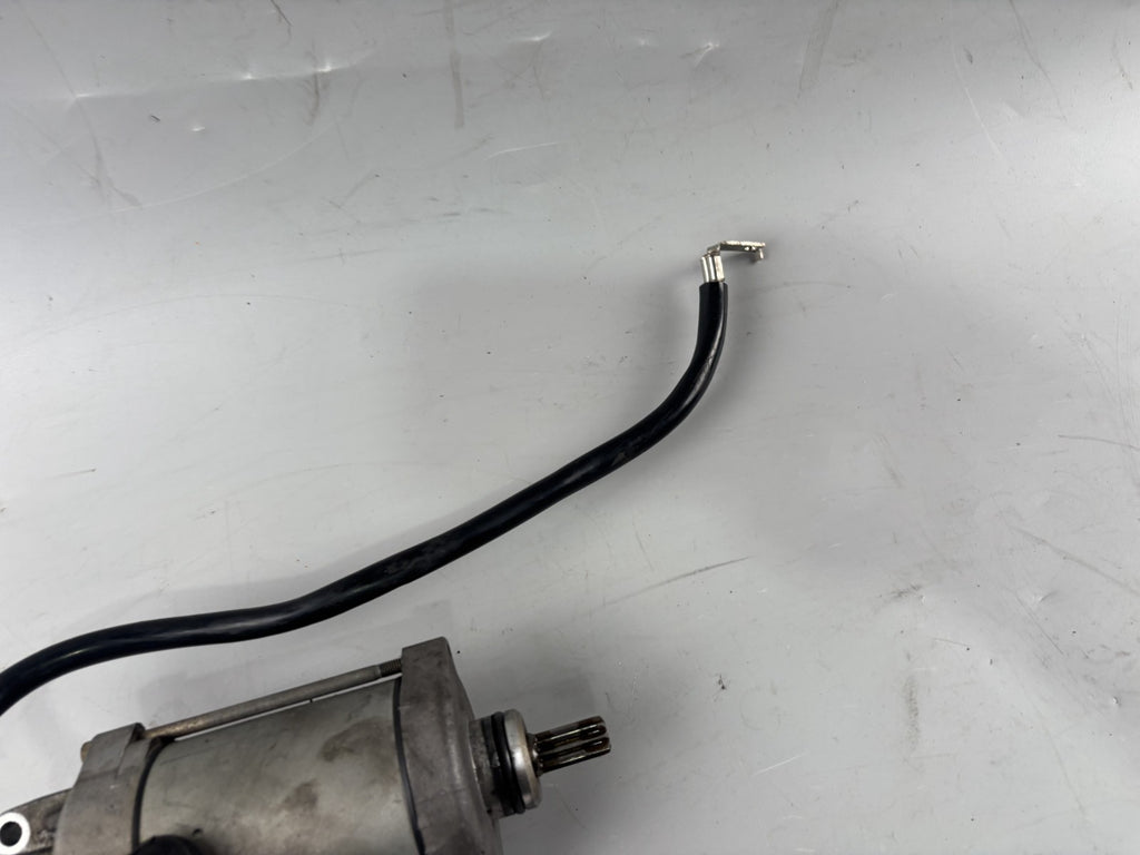 Honda CB 600 F Hornet PC34 Anlasser Starter Electric