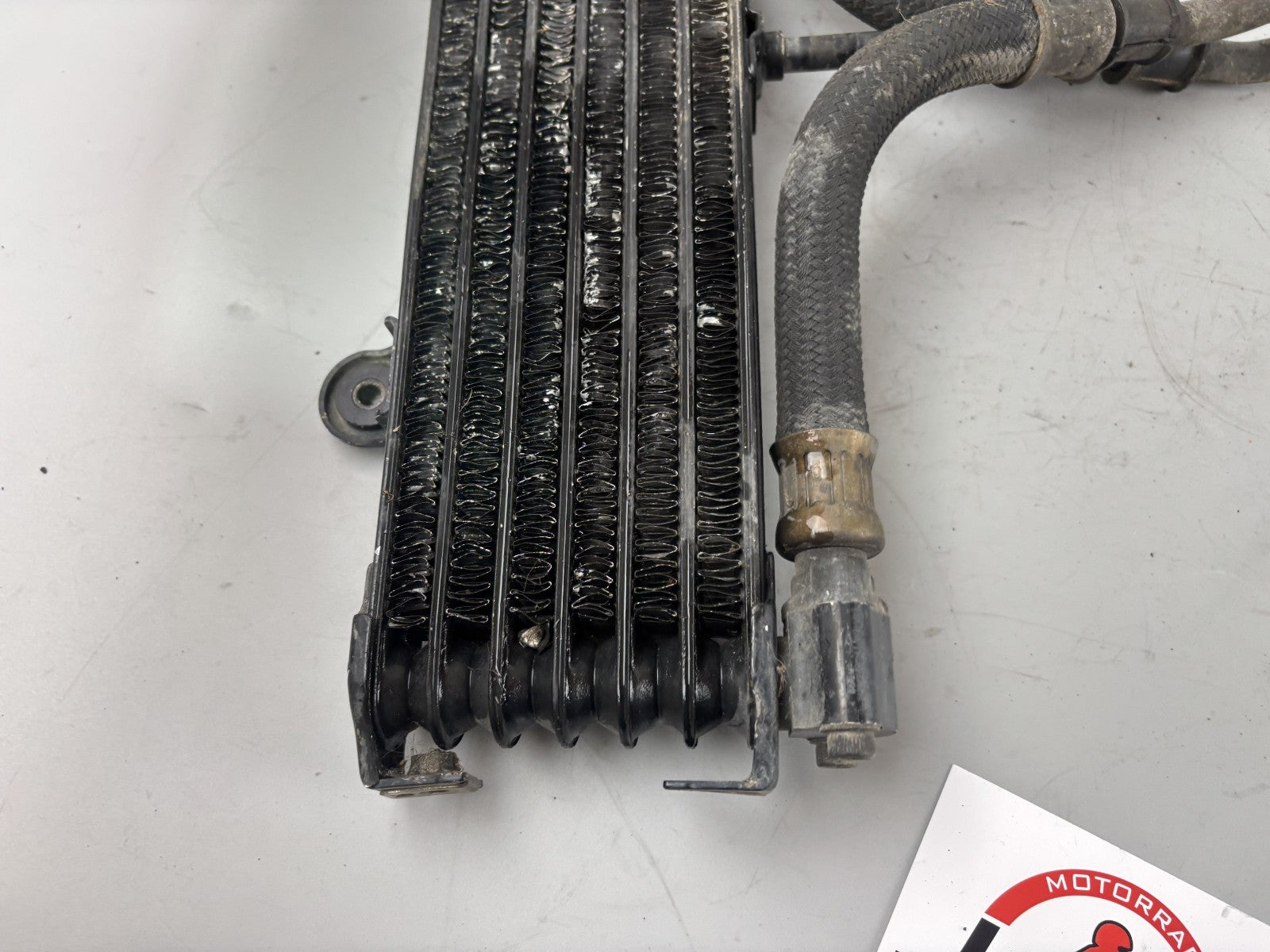 Yamaha XJR1300 RP02 Kühler Cooler Oilcooler Ölkühler Engine