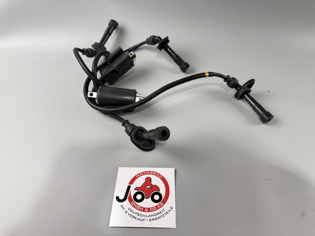 Suzuki GSF 600 Bandit POP WVA8 Zündspule Zündstecker Zündkabel Ignition