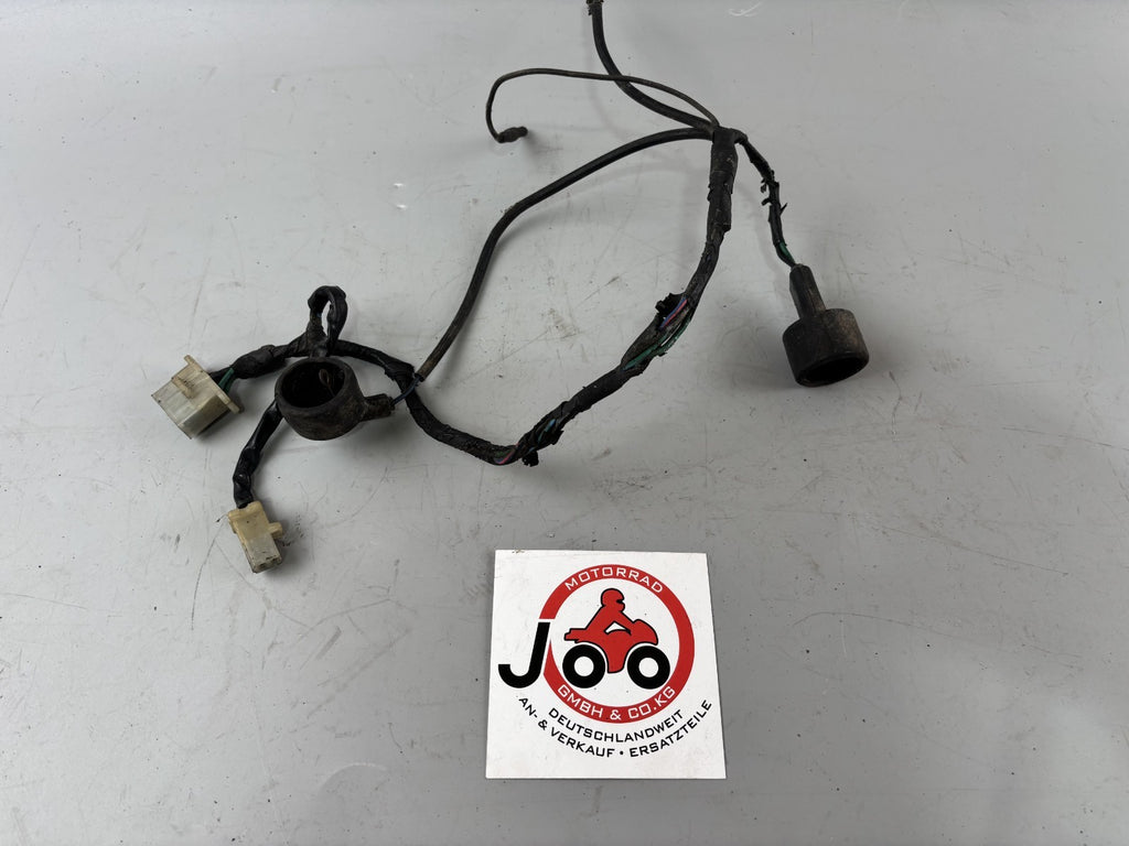 Honda GL1 GL1000 Goldwing Kabelbaum Kabelstrang klein Electric Stecker