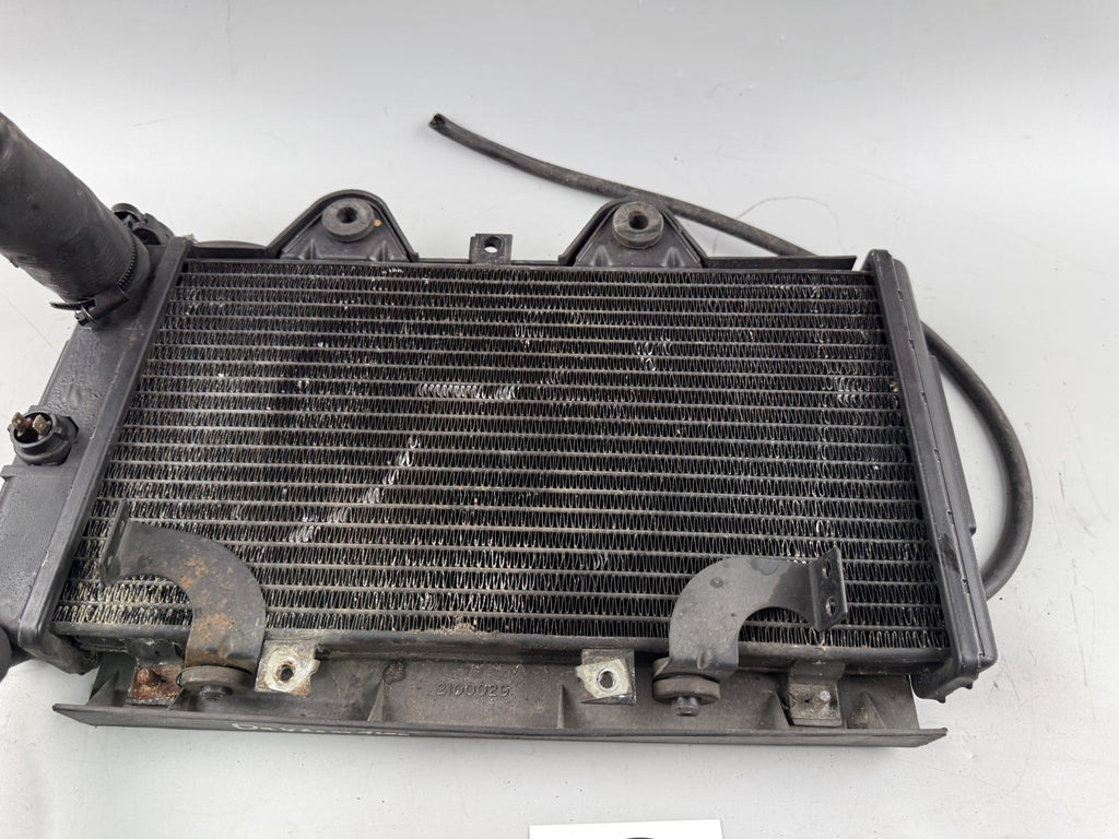 Triumph Daytona 1200 T300D Wasserkühler Cooler Liquid Watercooler Motor Engine