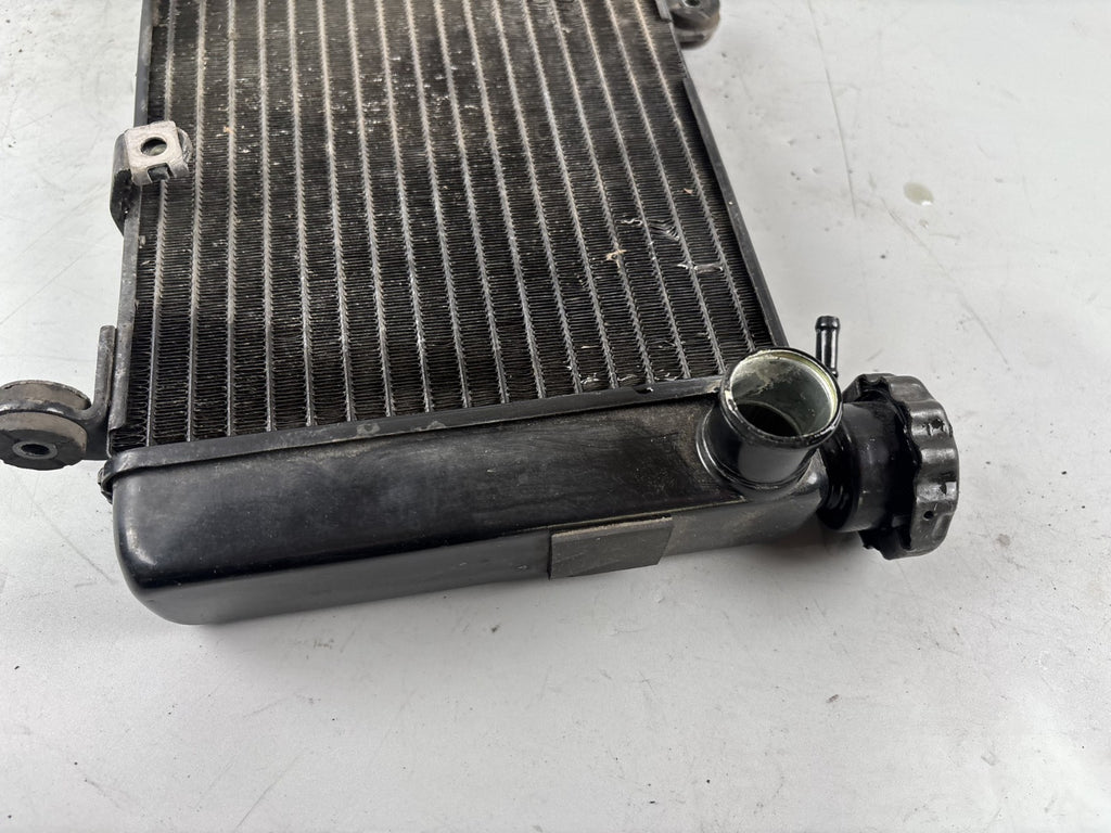 Honda CBF 600 S PC38 Kühler Wasserkühler Watercooler Liquid Water Kühlung
