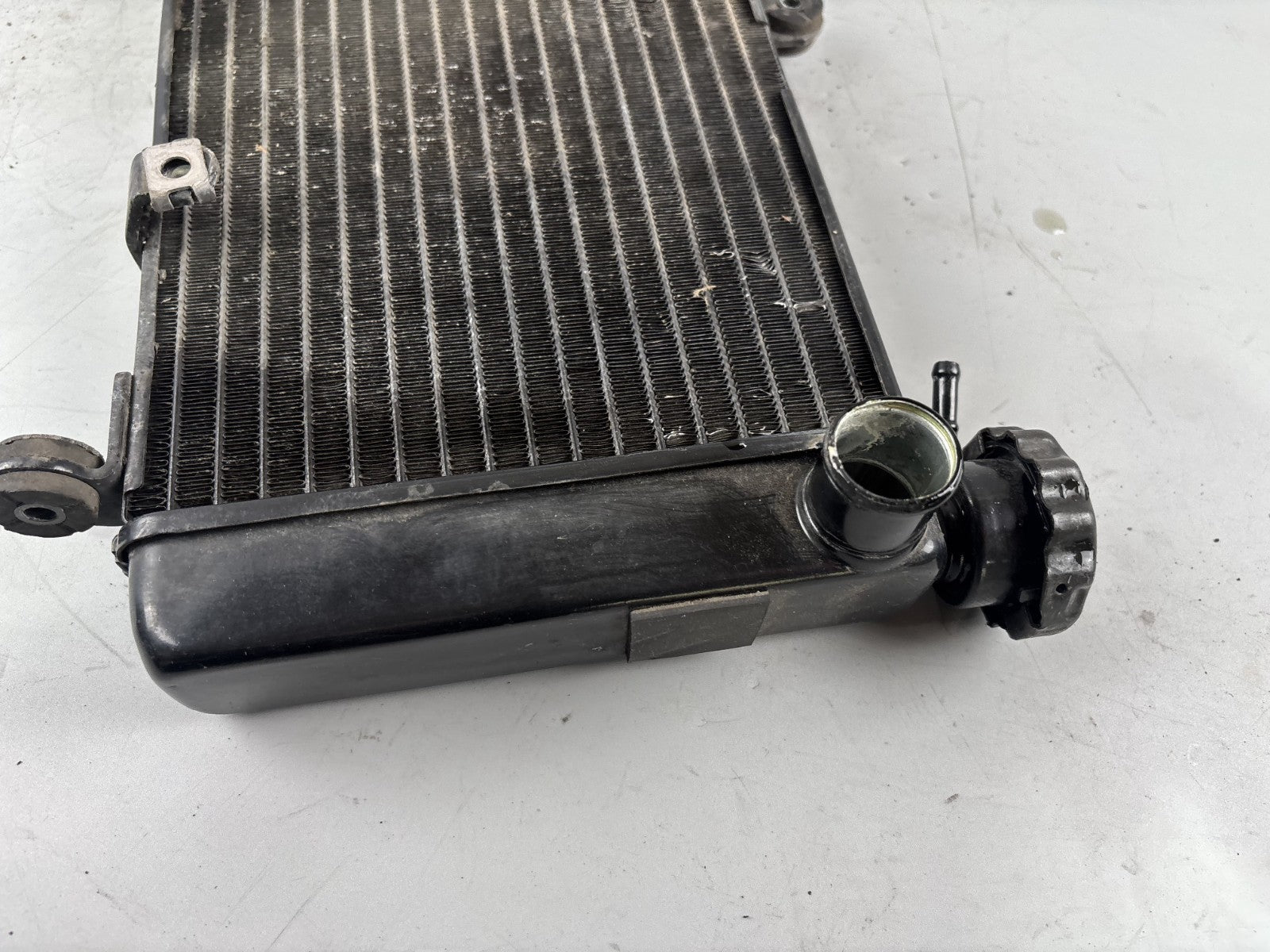 Honda CBF 600 S PC38 Kühler Wasserkühler Watercooler Liquid Water Kühlung
