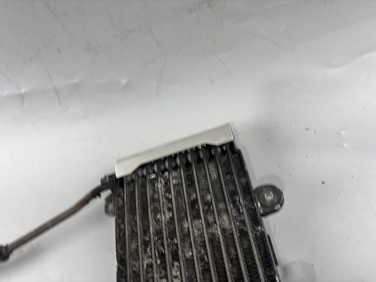 Suzuki GSX 1200 A3 Inazuma Ölkühler Oilcooler liquid Motor Engine Kühlung