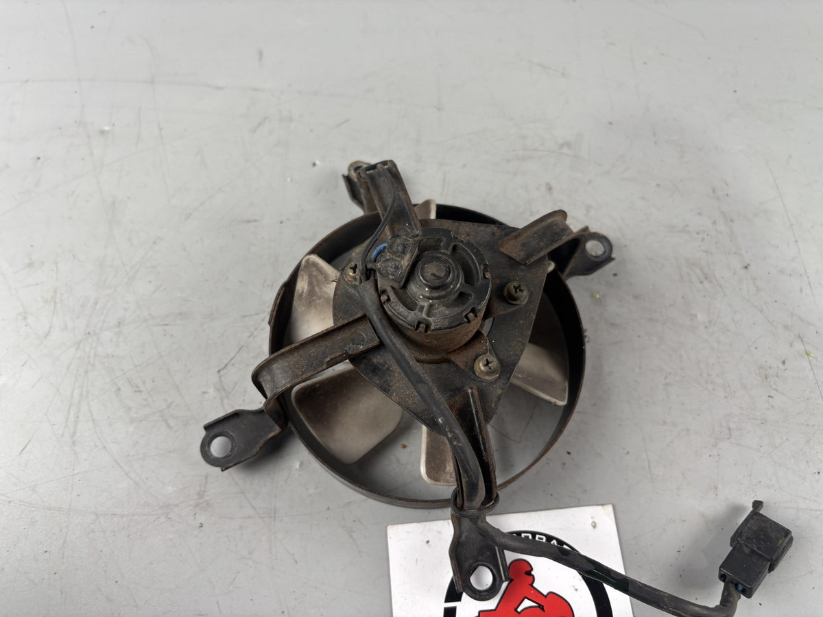 Kawasaki EL250 252 Eliminator Lüfter Ventilator Lüftung Cooler Kühler