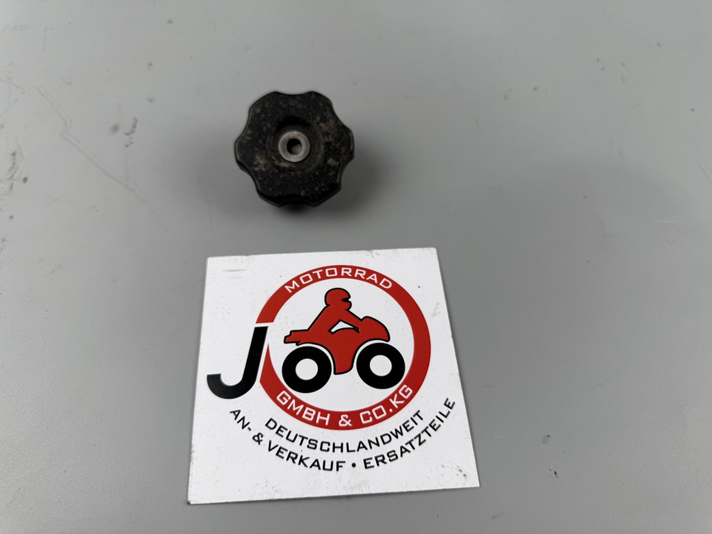 Yamaha XJ900 Diversion 4KM Kühlerdeckel Cover Abdeckung Cooler