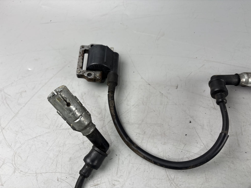 BMW F650 169 Zündspulen Zündstecker Ignition Zündkabel Electric