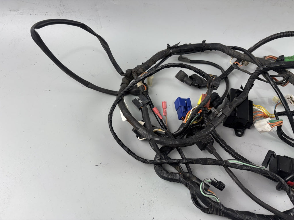 Suzuki GSF600 GN77B Kabelbaum Kabelstrang Cable Electric Stecker