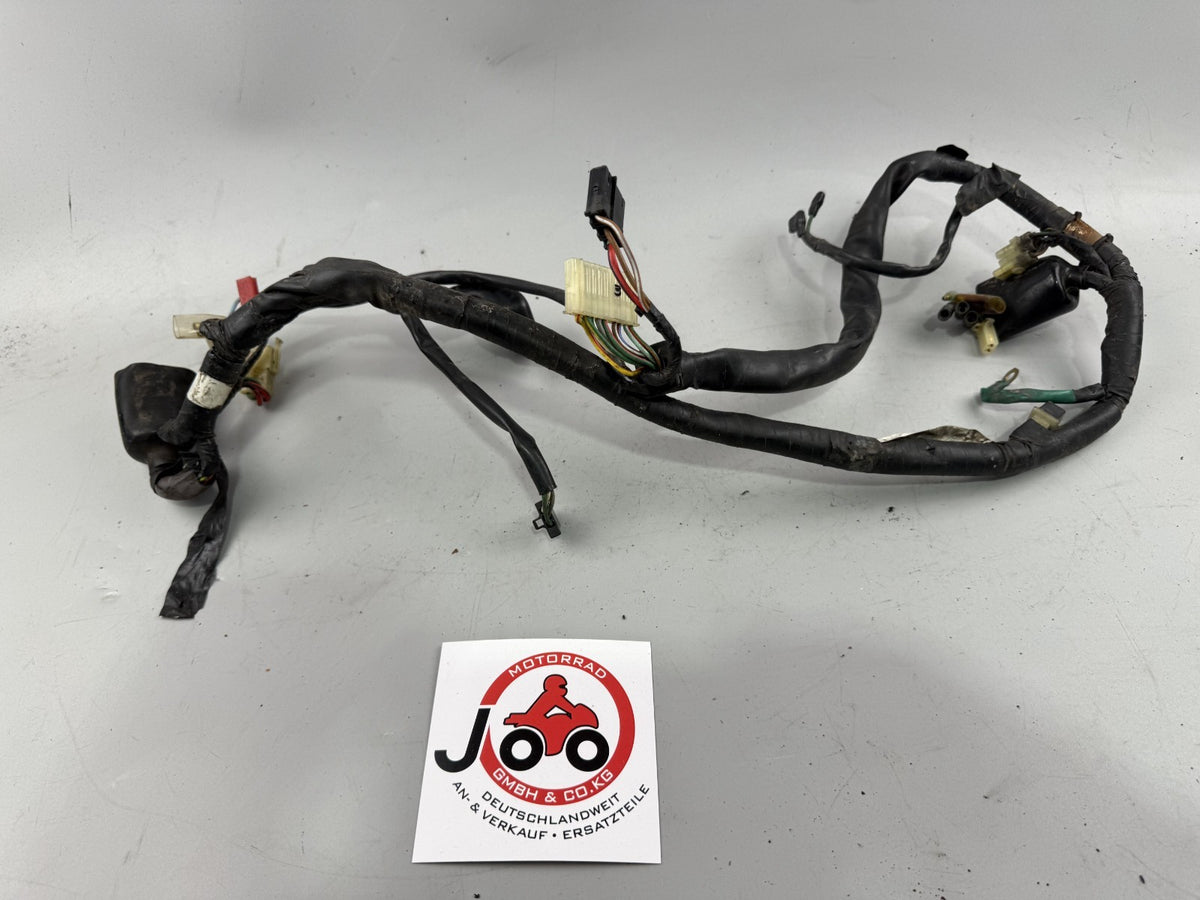 Honda CMX450 Rebell PC17 Kabelbaum Cable Stecker Electric Kabelstrang