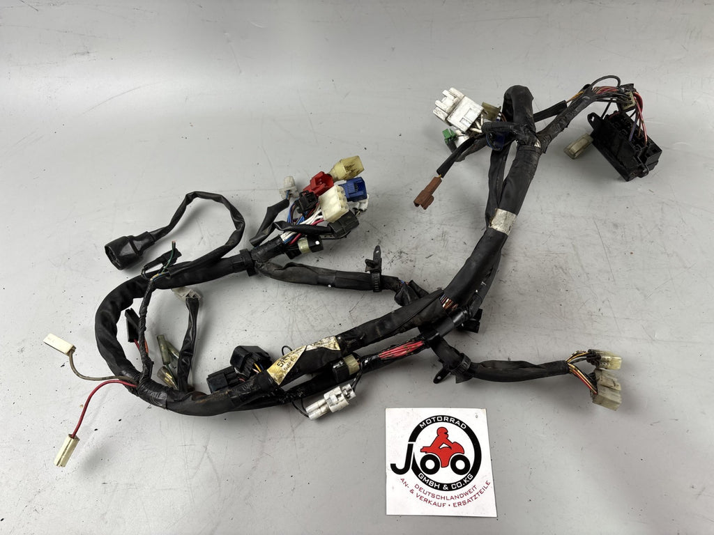 Yamaha FZS600 Fazer RJ02 Kabelbaum Cable Electric Stecker Motor Engine