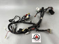 Yamaha FZS600 Fazer RJ02 Kabelbaum Cable Electric Stecker Motor Engine