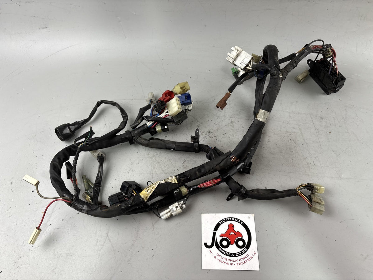 Yamaha FZS600 Fazer RJ02 Kabelbaum Cable Electric Stecker Motor Engine