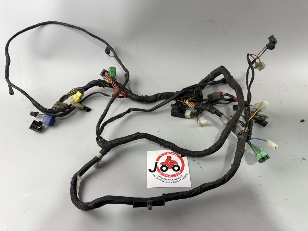 Suzuki GSF600 GN77B Bandit Kabelbaum Cable Stecker Kabelstrang