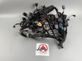Triumph Sprint 955i ST T695 Kabelbaum Cable Stecker Electric