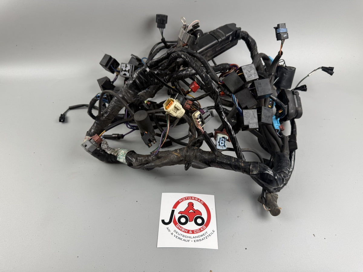 Triumph Sprint 955i ST T695 Kabelbaum Cable Stecker Electric