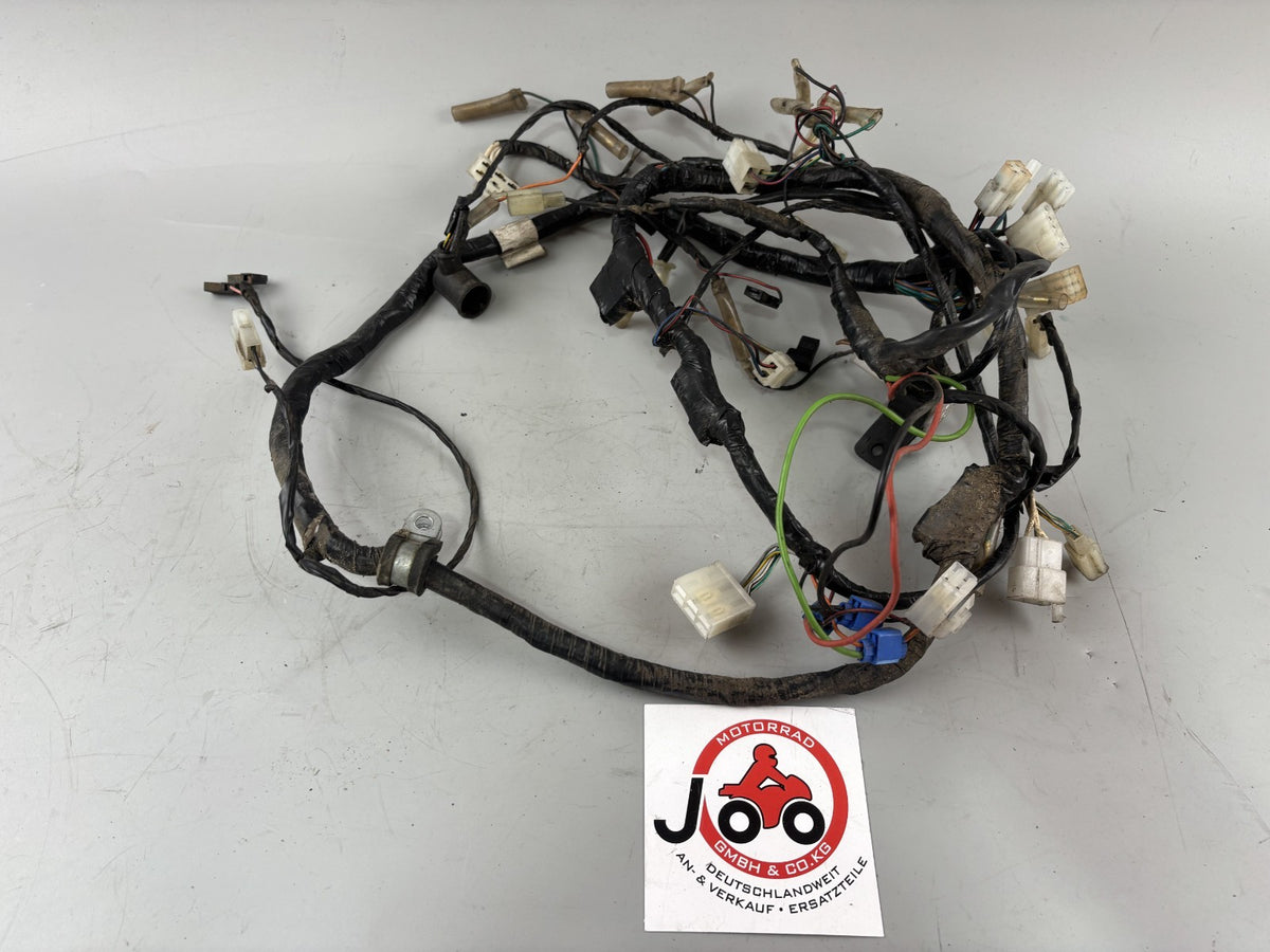 Yamaha SZR 660 Belgarda 4SU Kabelbaum Cable Stecker Electric