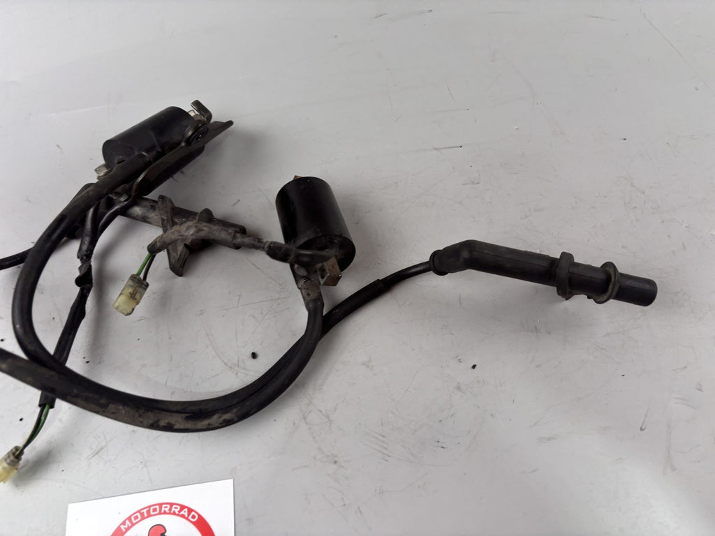 Honda VTR1000 F SC36 Firestorm Zündspulen Zündstecker Zündkabel ignition