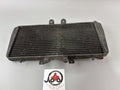 Triumph Daytona 955 T 595 Wasserkühler Cooler Engine Motor Watercooler