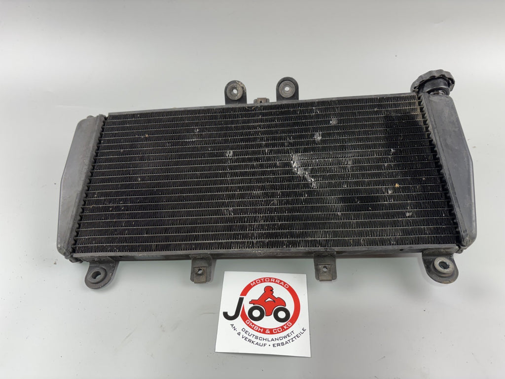 Triumph Daytona 955i T595 N 2002 Wasserkühler Watercooler Liquid Kühlung