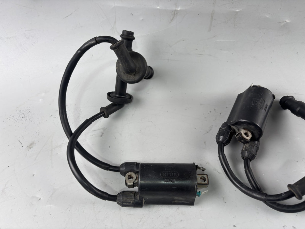 Honda CB 600 F Hornet PC34 Zündspule Zündkabel Zündstecker Ignition Electric