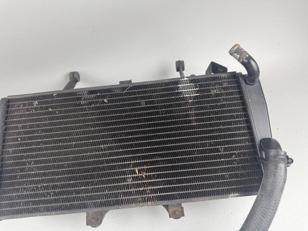 Triumph Sprint 955i ST T695 Wasserkühler Watercooler liquid Motor Engine Kühlung