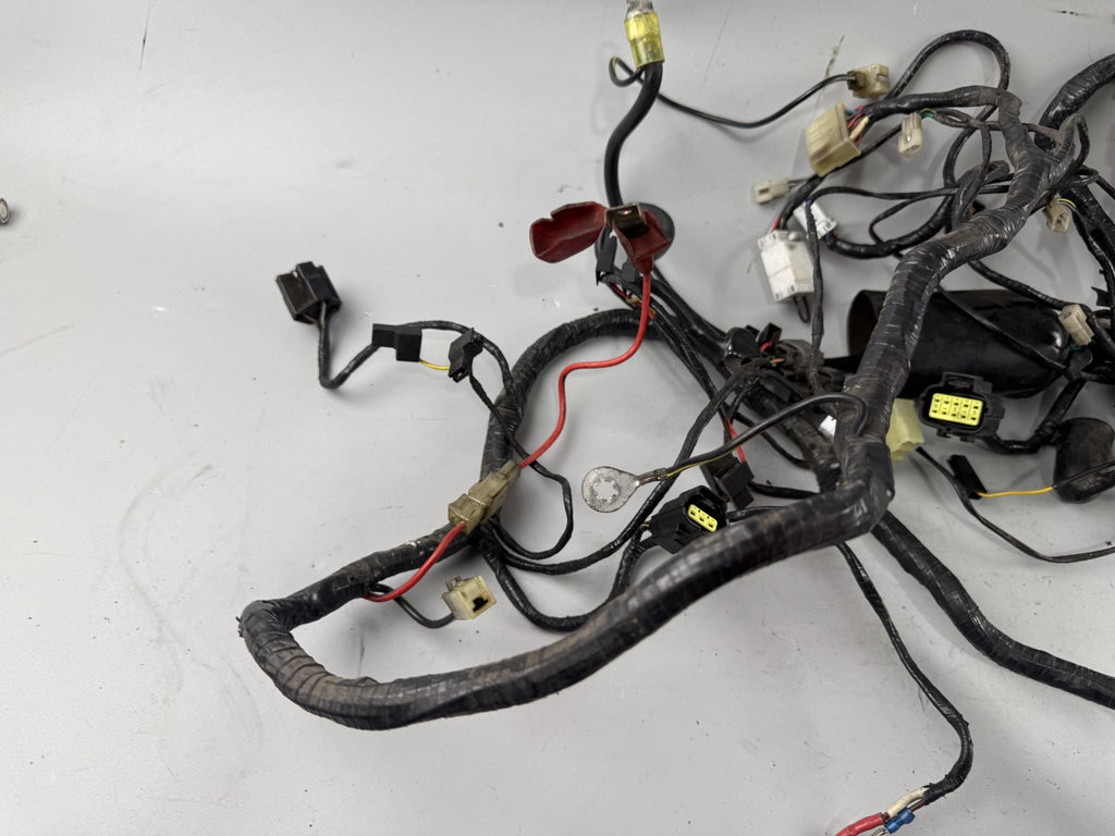 Triumph Tiger 900 T400 Kabelbaum Cable Stecker Kabelstrang Electric