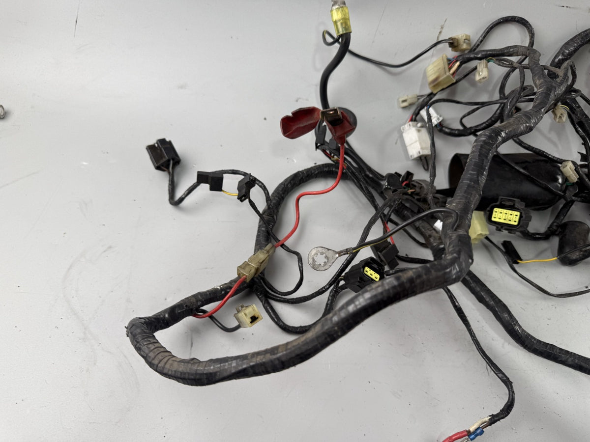 Triumph Tiger 900 T400 Kabelbaum Cable Stecker Kabelstrang Electric