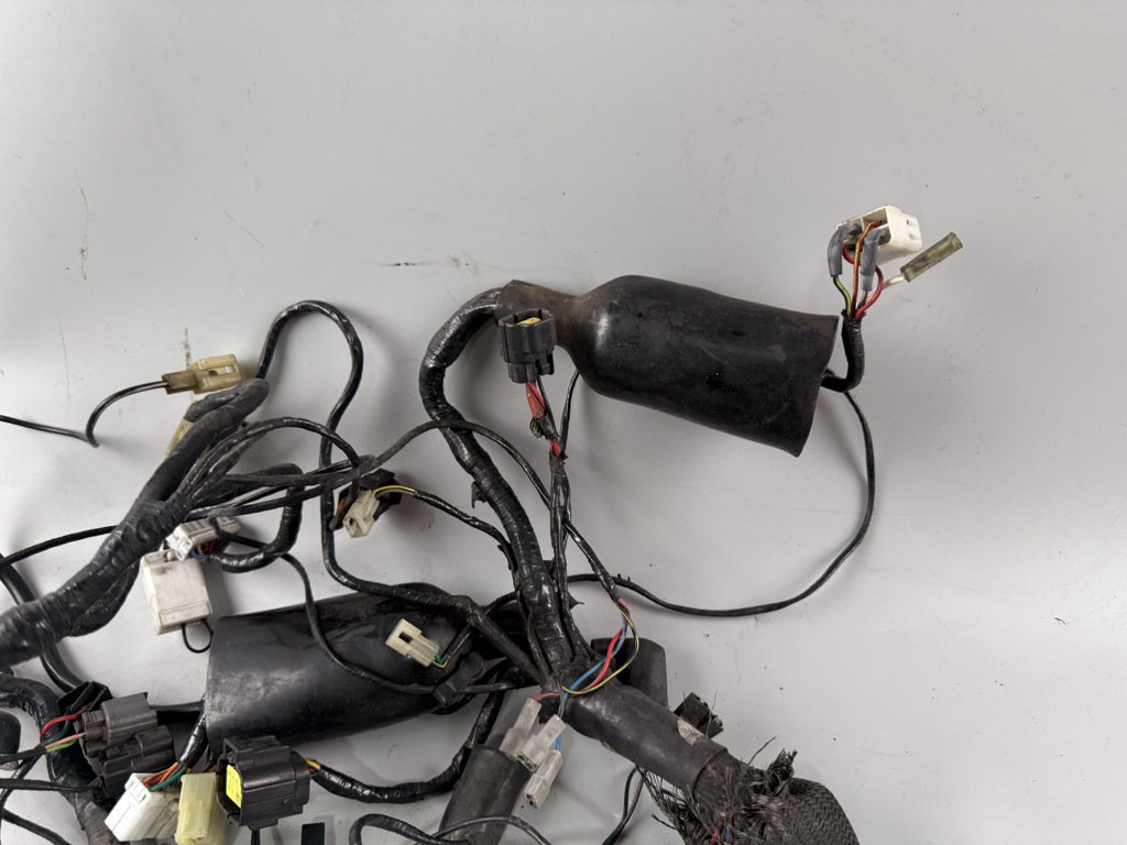 Triumph Tiger 900 T400 Kabelbaum Cable Stecker Kabelstrang Electric