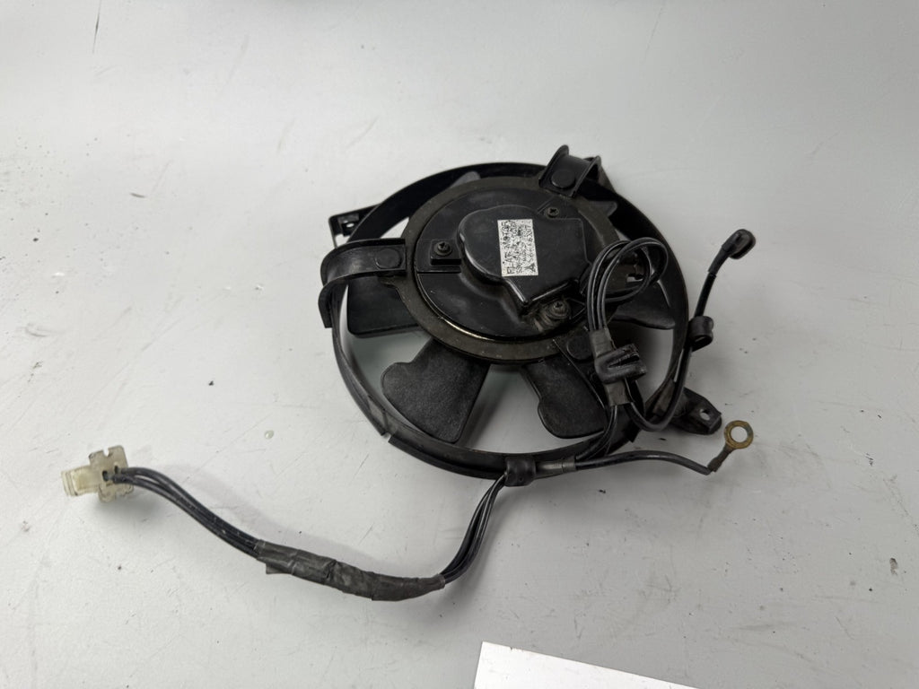 Honda XL600 R Transalp PD 06 Wasserkühler Watercooler Lüfter lüftung Ventilator