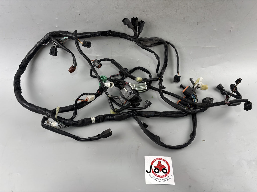 Suzuki GSX 650 F FA WVCJ Kabel Kabelstrang Kabelbaum Electric