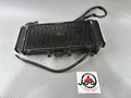 Yamaha FZS600 Fazer RJ02 Wasserkühler Cooler Watercooler Liquid