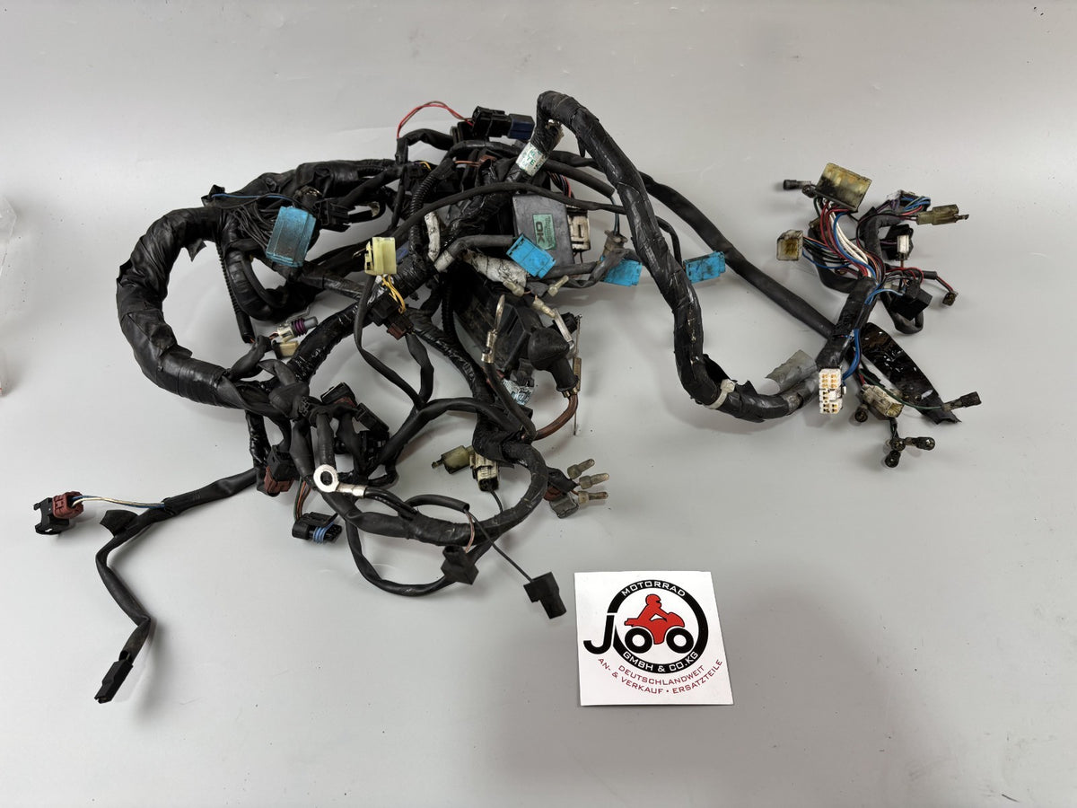 Triumph Daytona 955 T 595 Kabelbaum Cable Stecker Electric